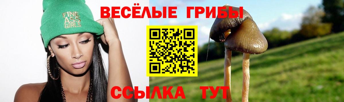 Вышний Волочёк  Галлюциногенные грибы прущие грибы  Вход с VPN 